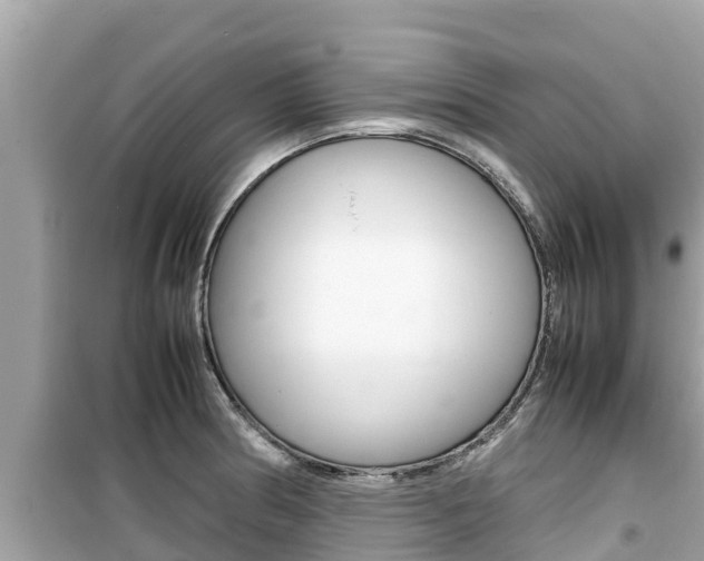 X0000099941186200805231014