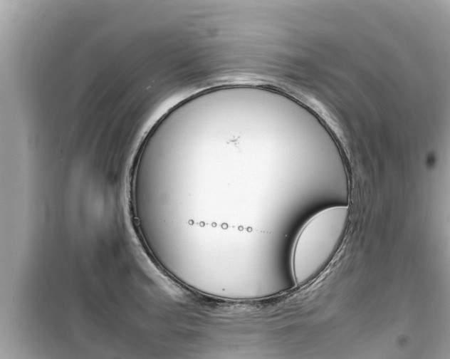 X0000099941187200805231014