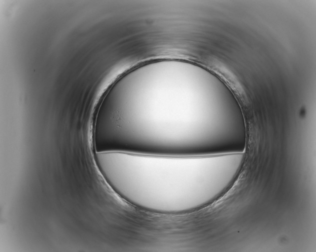 X0000099941188200805231014