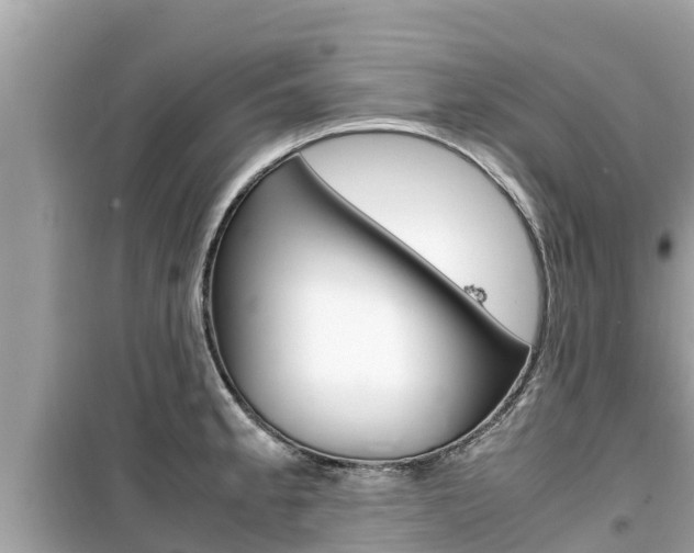 X0000099941189200805231014