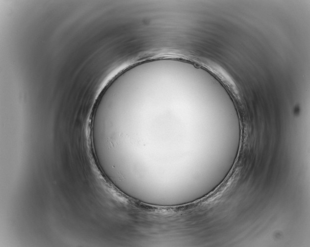 X0000099941190200805231014
