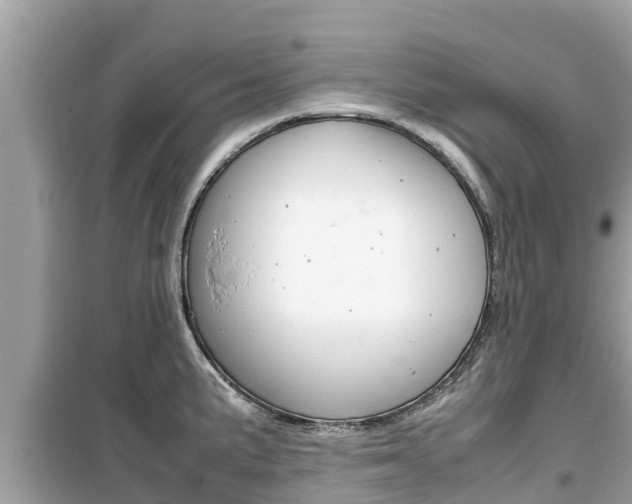 X0000099941191200805231014