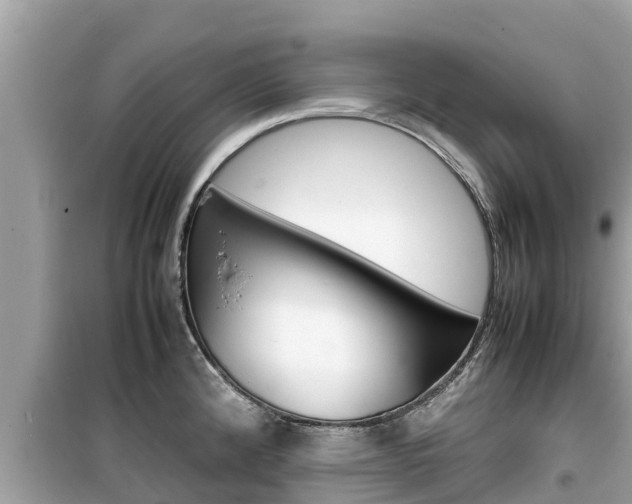 X0000099941192200805231014