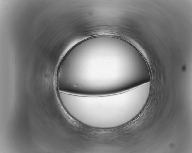 X0000099941195200805231014