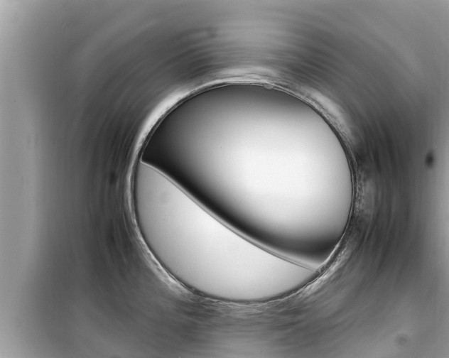 X0000099941196200805231014