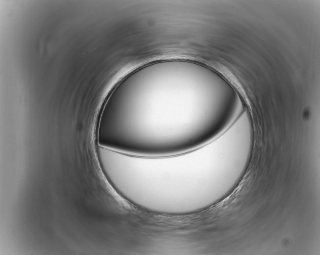 X0000099941197200805231014