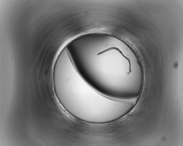 X0000099941200200805231014