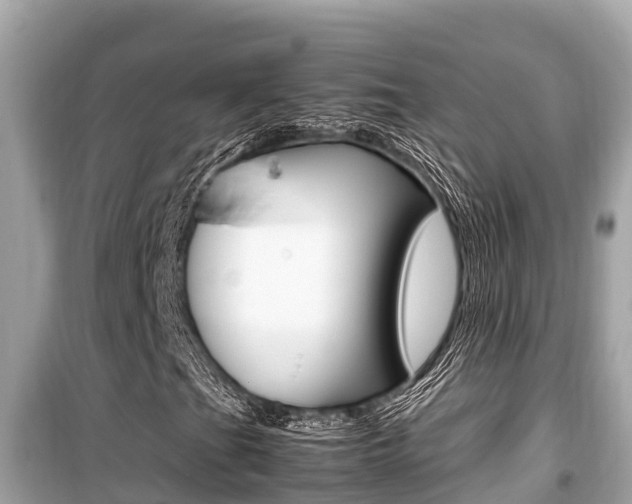 X0000099941201200805231013