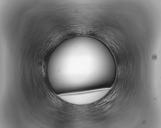 X0000099941202200805231013