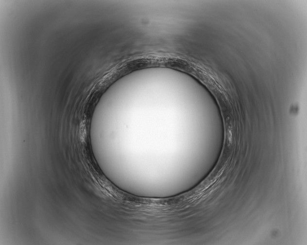 X0000099941204200805231013
