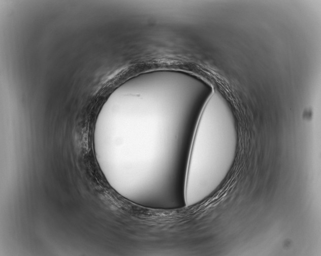 X0000099941205200805231013