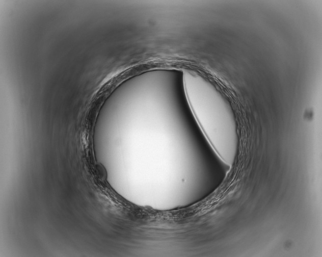 X0000099941206200805231013