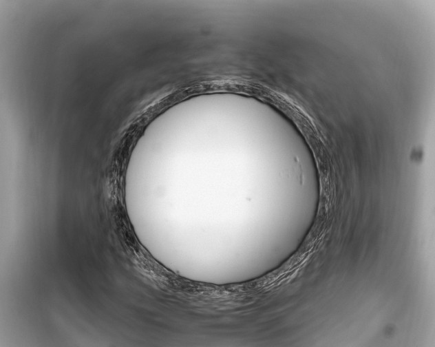 X0000099941207200805231013