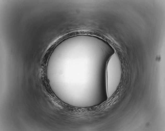 X0000099941208200805231013