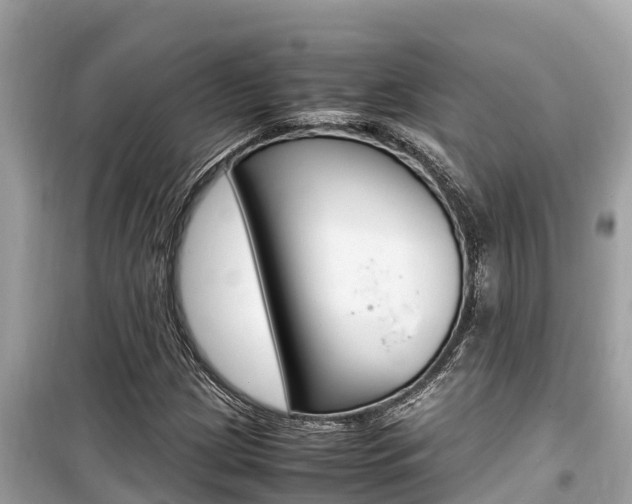X0000099941209200805231013