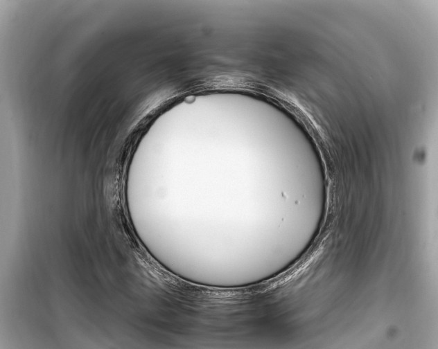 X0000099941211200805231013