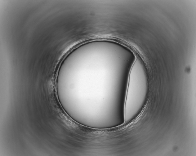 X0000099941212200805231013