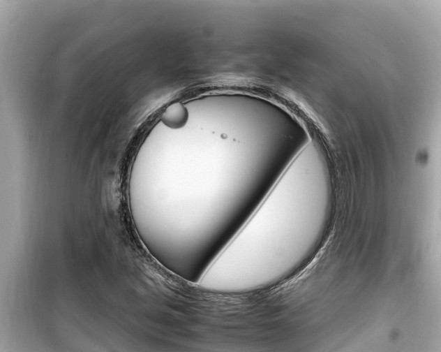 X0000099941213200805231013
