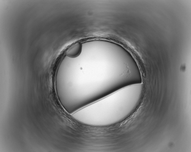 X0000099941214200805231013