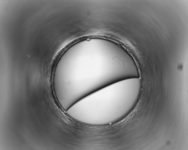 X0000099941216200805231013
