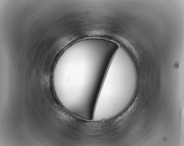 X0000099941217200805231013