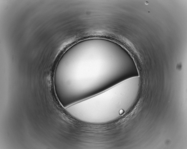 X0000099941218200805231013