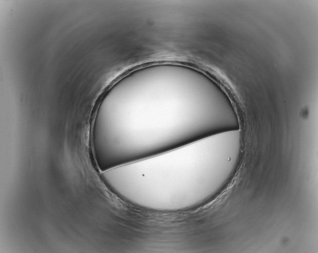 X0000099941220200805231013