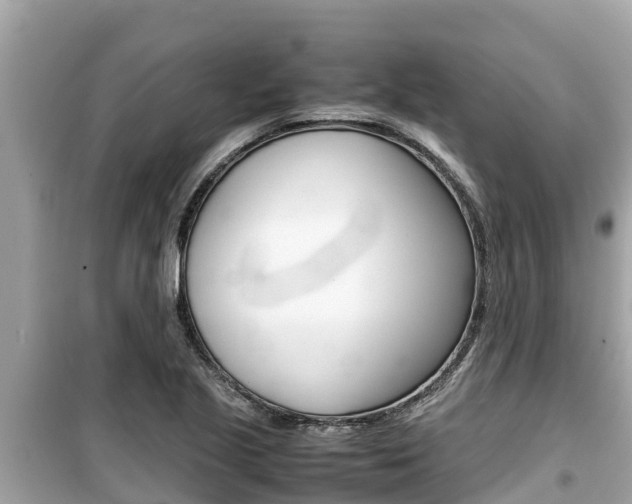 X0000099941221200805231013