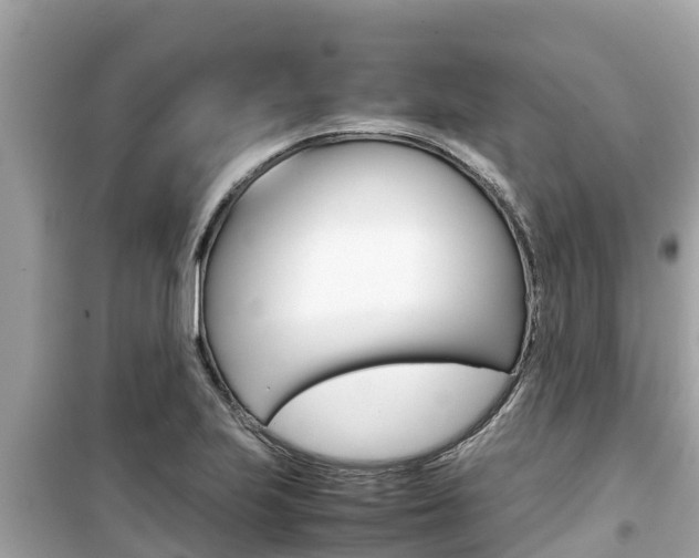 X0000099941223200805231013