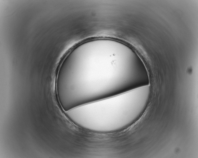 X0000099941224200805231013
