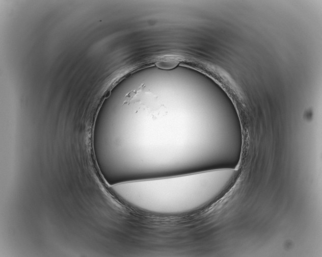 X0000099941225200805231013