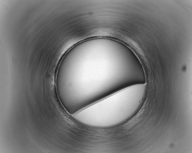 X0000099941226200805231013