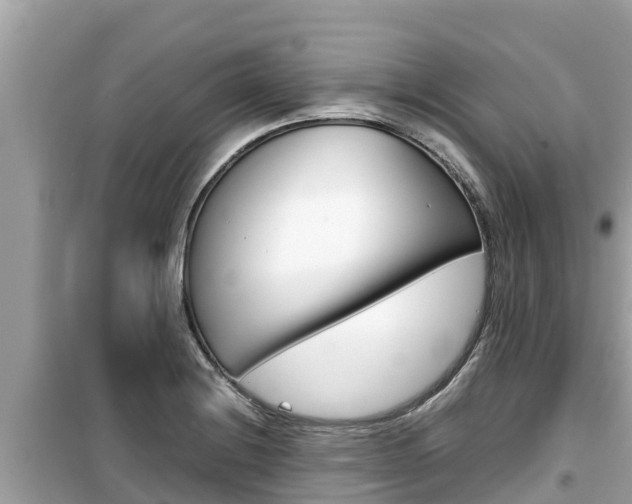 X0000099941228200805231013