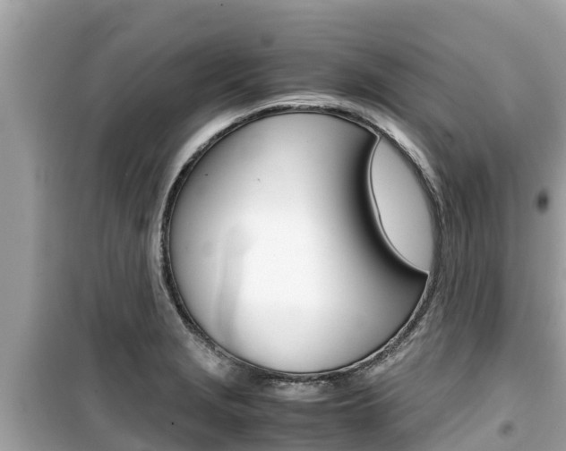 X0000099941229200805231014