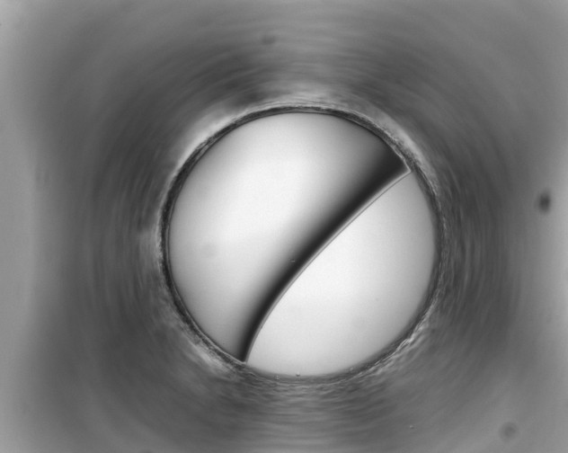 X0000099941230200805231014