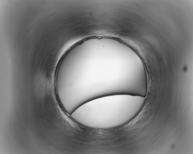 X0000099941231200805231014