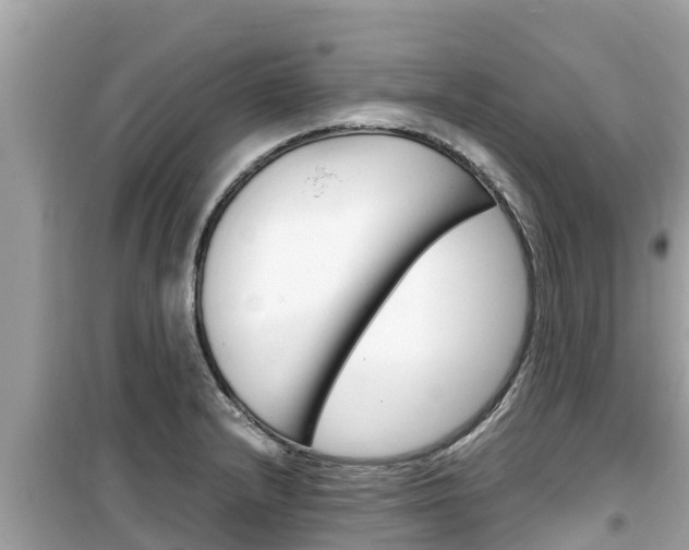 X0000099941232200805231014