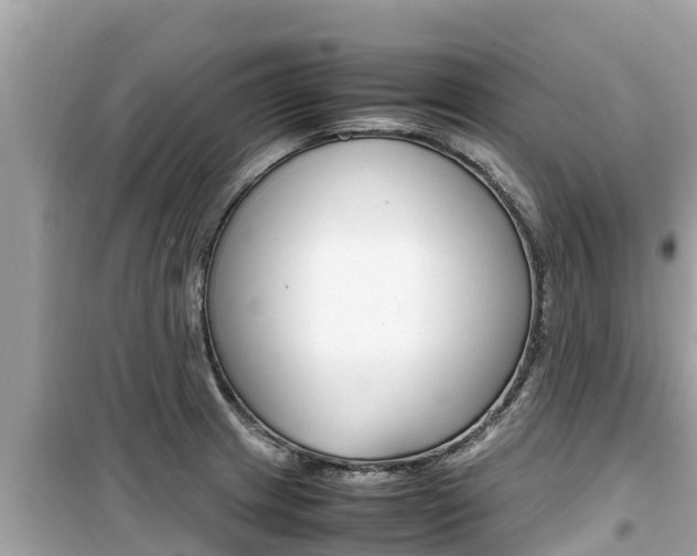 X0000099941233200805231014