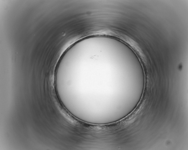 X0000099941234200805231014