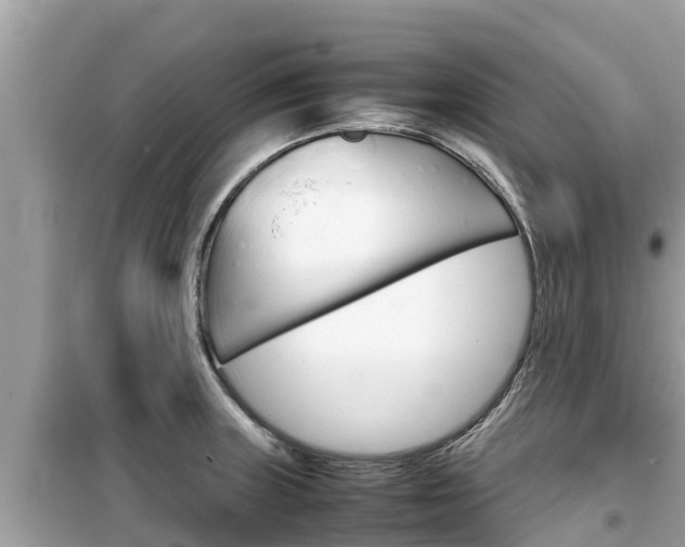 X0000099941235200805231014