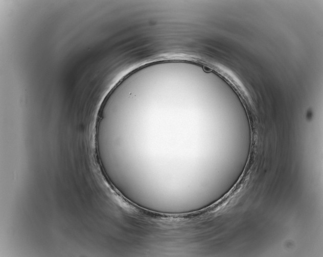 X0000099941236200805231014