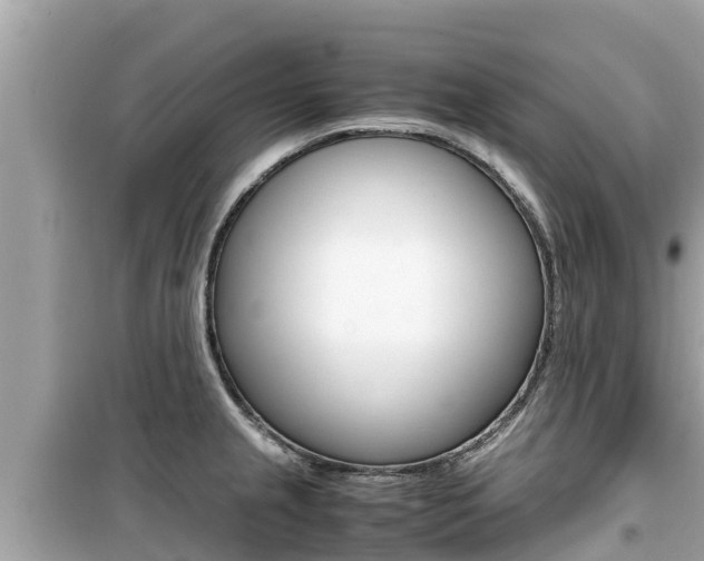 X0000099941237200805231014