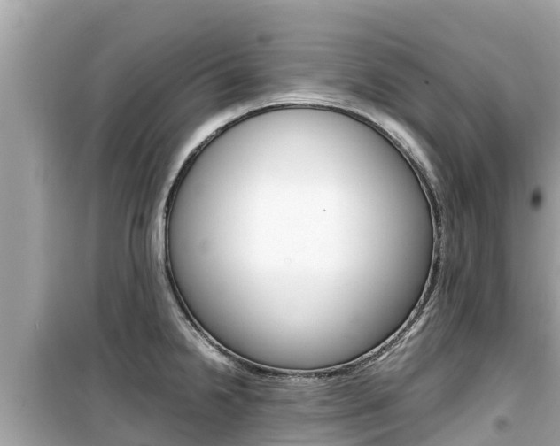 X0000099941238200805231014