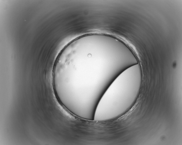 X0000099941239200805231014