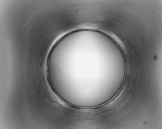 X0000099941240200805231014