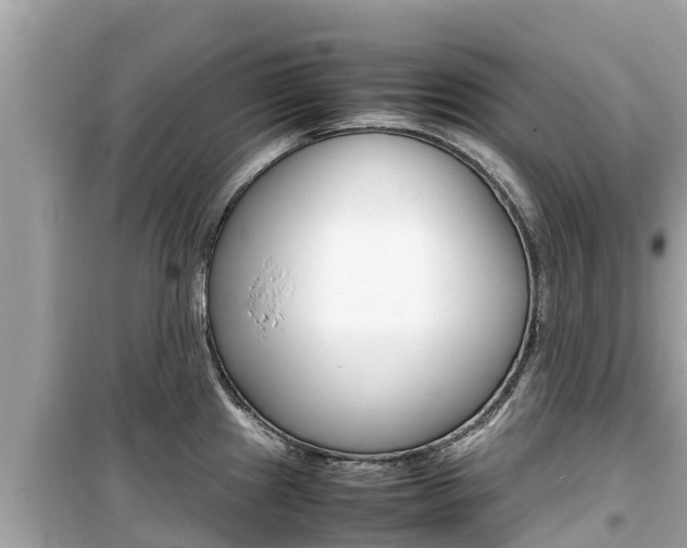 X0000099941241200805231014