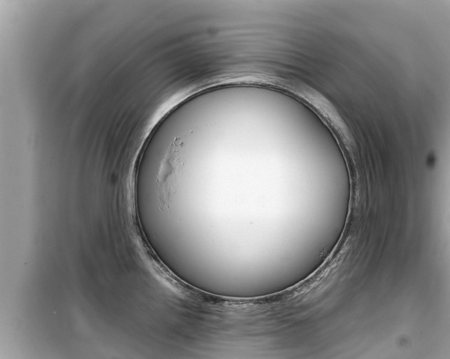 X0000099941242200805231014