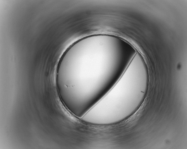 X0000099941246200805231014