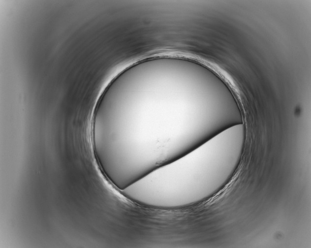 X0000099941247200805231014