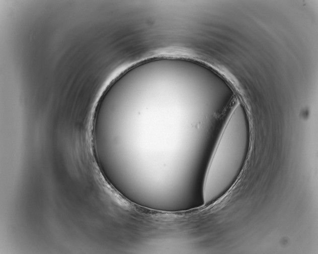 X0000099941248200805231014